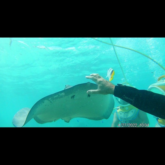 Meet your Posher, Sarah - Picture 8 of 9